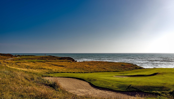 孤身一人打一个生肖，详细全面解释