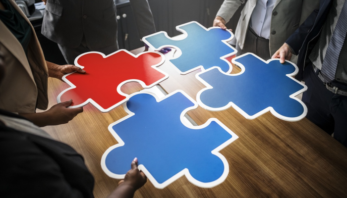 企足而待打一个生肖，最新资询解答