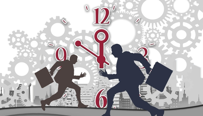 企足而待打一个正确的生肖，最新解释