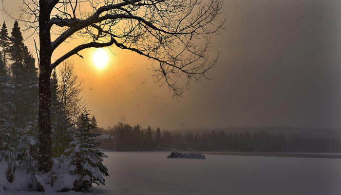 江山如画打一生肖,最新揭晓 江山如画打一生肖,最新揭晓