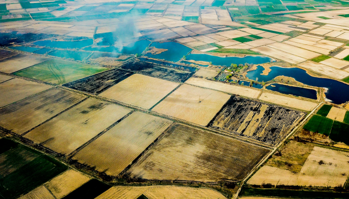 江山如画打一生肖，专业解答分享落实