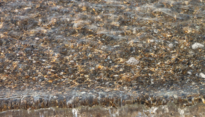 羊肠小道打一个生肖，精选解释