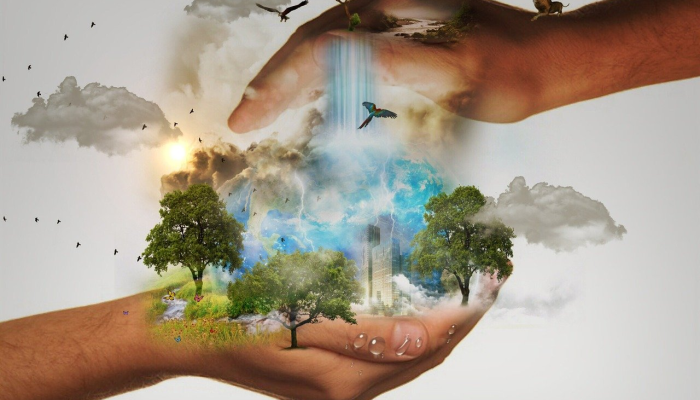 万物复苏打一种生肖，最佳解释