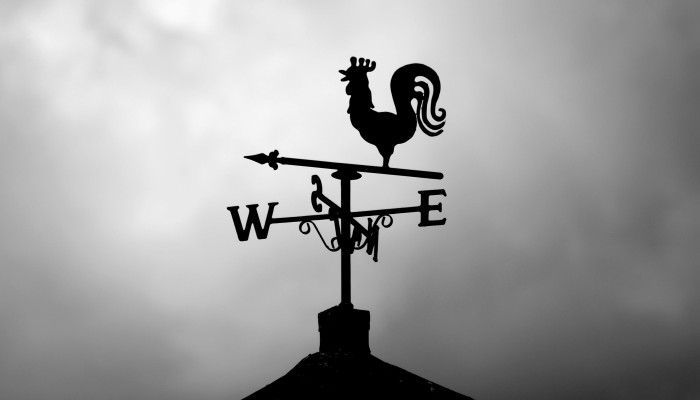 子午相冲不可信，仰首一六问青天打一生肖，解答揭晓