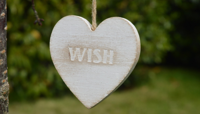 不看僧面看佛面打一种生肖，详细解释