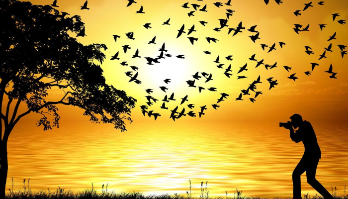 子午相冲不可信,仰首一六问青天是什么生肖打一个生肖动物,权威解释即刻呈现 子午相冲不可信,仰首一六问青天是什么生肖打一个生肖动物,权威解释即刻呈现