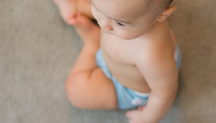 十月怀胎生男孩打一个生肖是啥动物，重点解释