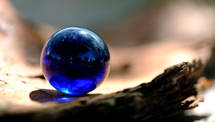 地球是什么生肖猜一个动物，最终答案马上揭晓