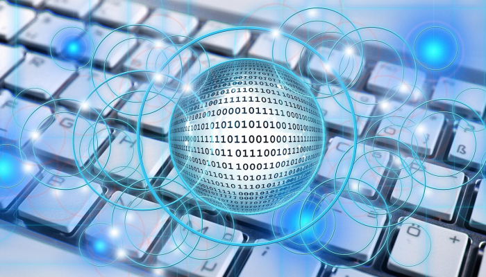 动如脱兔打一生肖，专业解答分享落实