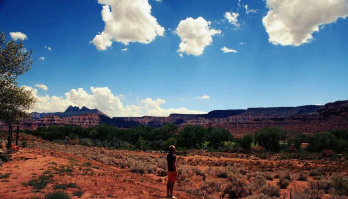 草场是什么生肖,专业解答分享 草场是什么生肖,专业解答分享
