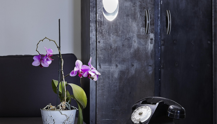 云雾随风觉春寒,角灯闪烁满天忙是什么生肖打一个生肖动物,最终结果揭晓 云雾随风觉春寒,角灯闪烁满天忙是什么生肖打一个生肖动物,最终结果揭晓