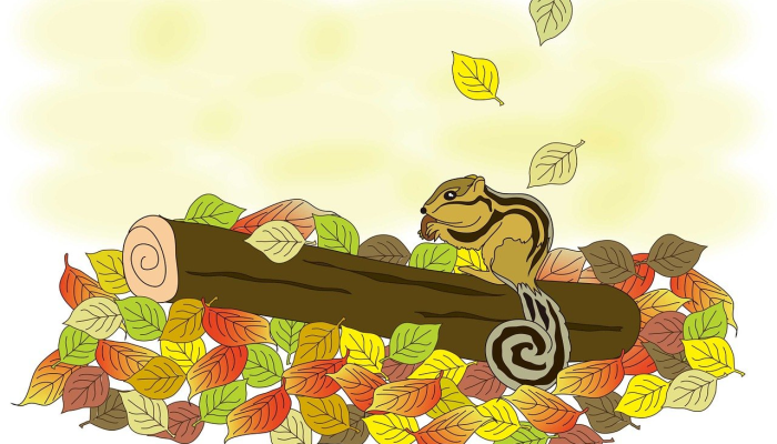 驿寄梅花打一个生肖,答案解析 驿寄梅花打一个生肖,答案解析