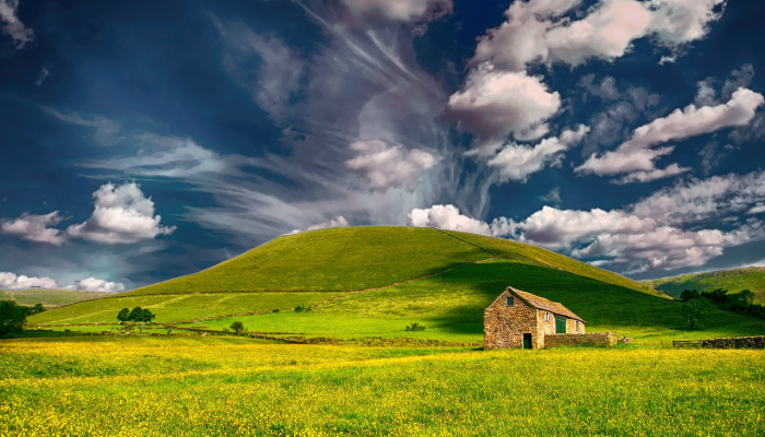 云彩上点灯是什么生肖猜一个动物,最佳解释 云彩上点灯是什么生肖猜一个动物,最佳解释