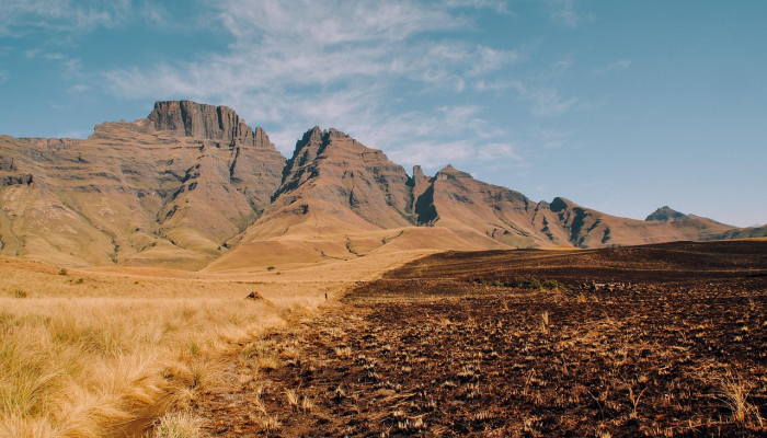 万马奔腾是什么生肖，独家视角解读落实