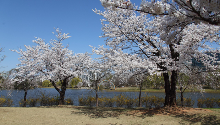 仲春季节是什么生肖，深度解析不容错过