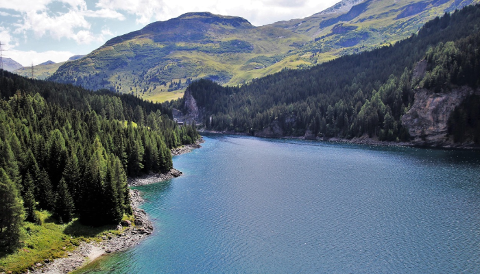 草场是什么生肖,精准解析 草场是什么生肖,精准解析