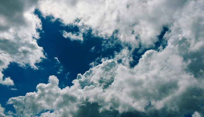 云彩上点灯打一个生肖是啥动物，重点解释