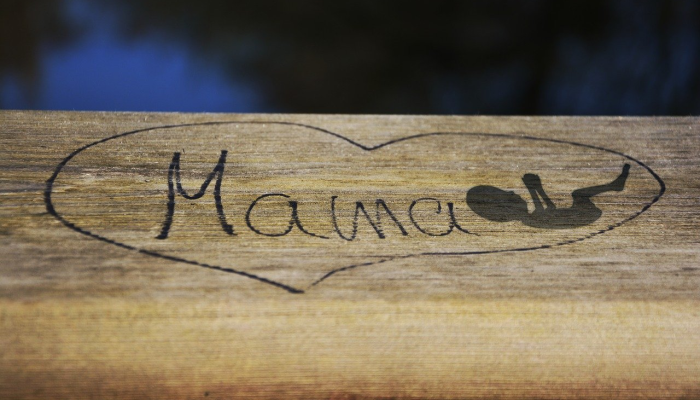 万家灯火总关情 四面云山皆入画指什么生肖,词语解答解释 万家灯火总关情 四面云山皆入画指什么生肖,词语解答解释