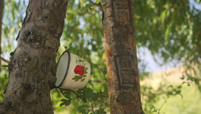 生气勃勃打一正确生肖,经典解答 生气勃勃打一正确生肖,经典解答