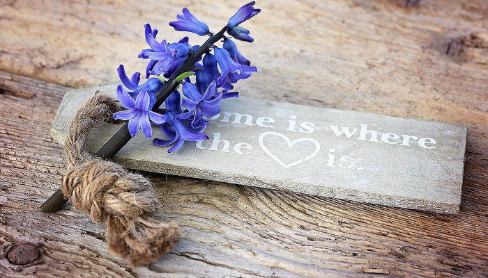 枯木逢春重重画打一个正确生肖,代表马上揭晓 枯木逢春重重画打一个正确生肖,代表马上揭晓