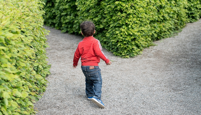 草场是什么生肖是啥动物,精准解答 草场是什么生肖是啥动物,精准解答