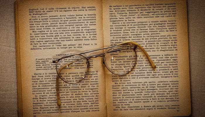 经时持崇明光殿打一个生肖，科学释义解析