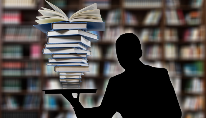 两两相伴打一生肖是啥动物，科学方法精准解析落实