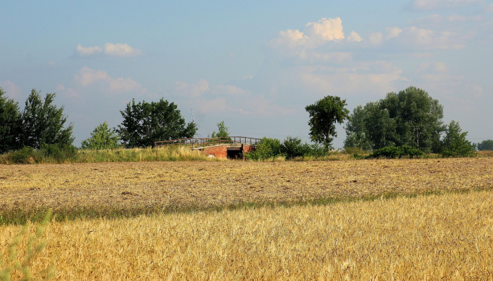 草场打一个正确的生肖，重点解释