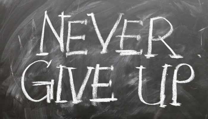 劈邪除妖感深恩是什么生肖，精选解析解释