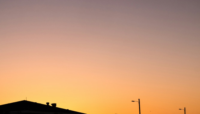 万家灯火总关情 四面云山皆入画代表指什么生肖，第一解答解读落实