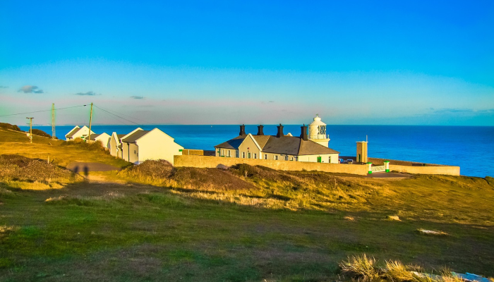 云雾随风觉春寒，角灯闪烁满天忙打一生肖，现在揭晓