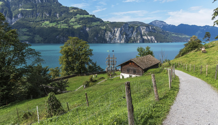 草场指什么生肖，作答解释解答