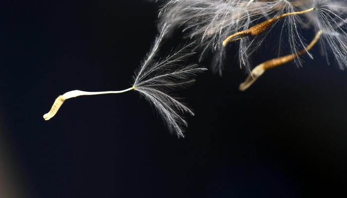 万马奔腾打一生肖，最终结果马上揭晓