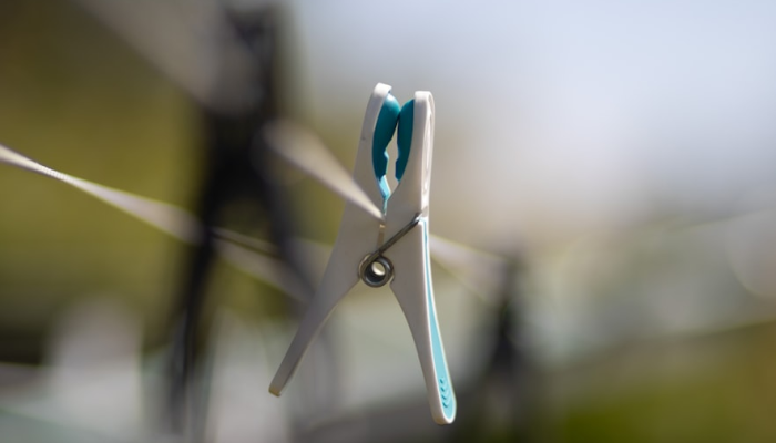 立定脚跟撑起脊打一个生肖猜一个动物，权威解释