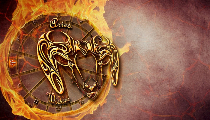 动如脱兔是什么生肖，答案解析解释