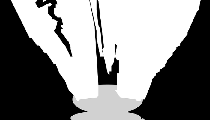 凡夫俗子指什么生肖，解答科学