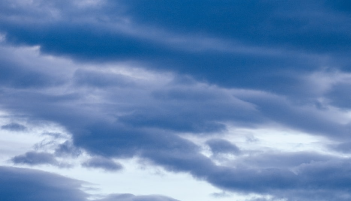 云彩上点灯是什么生肖打一动物，经典解答