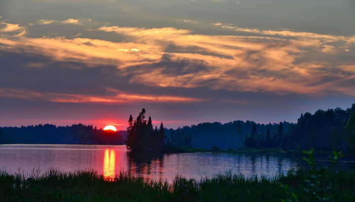草场指什么生肖，最新揭晓解释