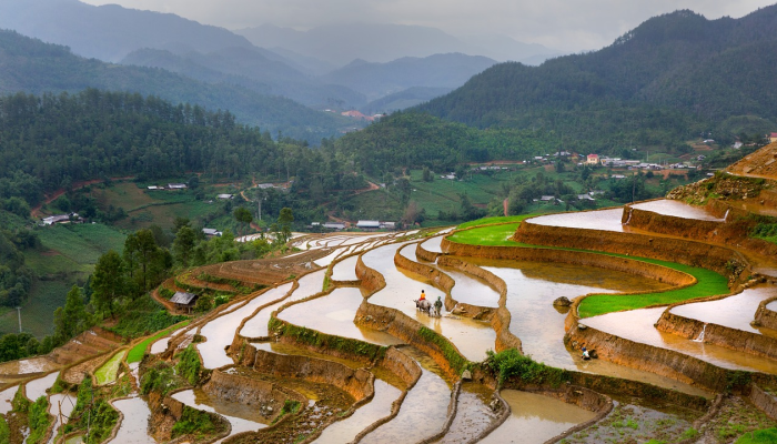草场是什么生肖，揭秘解析落实