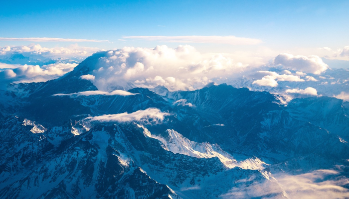 鸡鸣而起打一生肖，原创解析解答落实