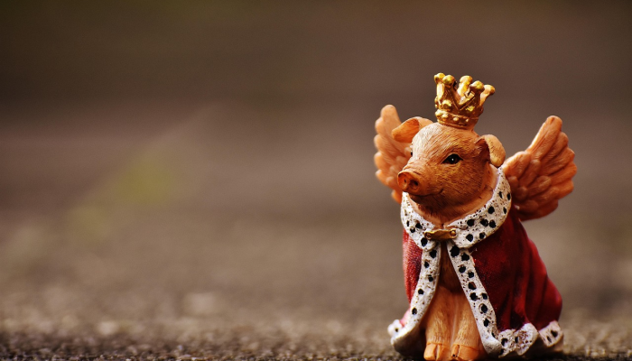 甲申之年行好运，猪鸡二家来结亲是什么生肖，最新解析