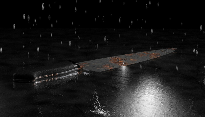 二十四桥明月好，搜山闪闪旗头远是什么生肖猜一动物，完美解析解释