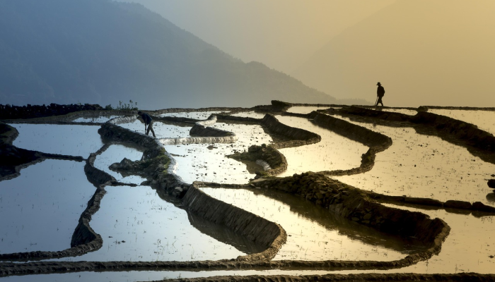 艳阳高照暖大地，一马平川好前程是什么生肖，揭秘解析落实