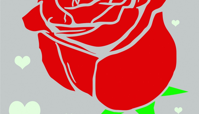 惨不忍睹打一生肖，精选解析解释