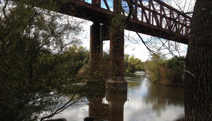 二十四桥明月好,搜山闪闪旗头远打一个生肖,详细解析解释 二十四桥明月好,搜山闪闪旗头远打一个生肖,详细解析解释