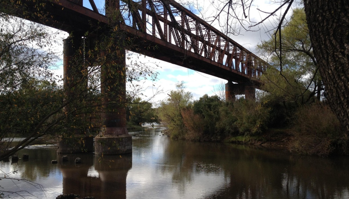 二十四桥明月好，搜山闪闪旗头远代表生肖，标准解释