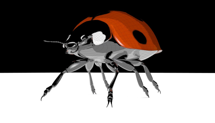 杨枝甘露一份，烧鸡一只打一生肖猜一个动物，经典解答落实