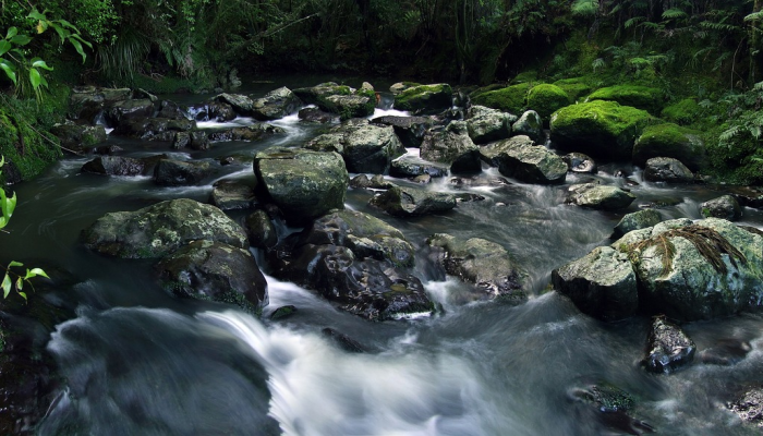 翦不断溪山风物打一种生肖,最佳解释 翦不断溪山风物打一种生肖,最佳解释