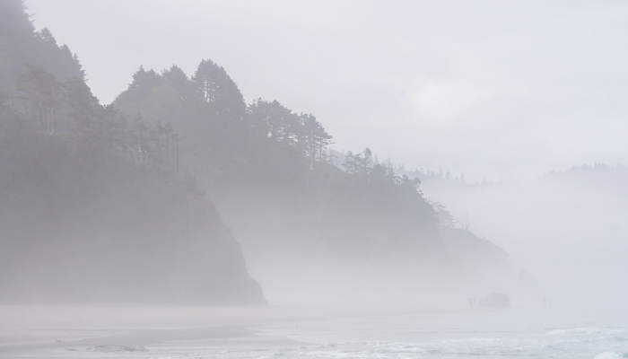 形式落后，雨过天青，荒凉树石向川微打一个正确的生肖，深度解析来了