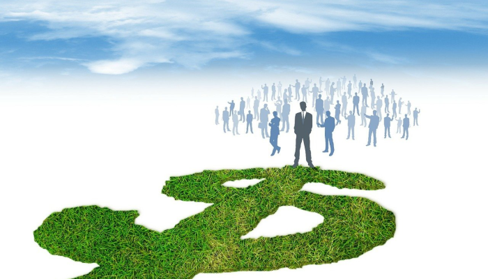 族旗闪闪摇天末是什么生肖打一动物，作答解释